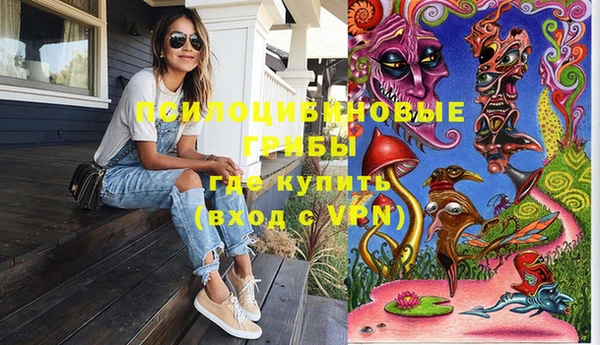 МДМА Богородицк