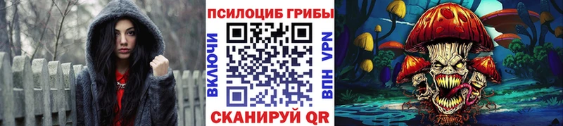 Псилоцибиновые грибы мухоморы  продажа наркотиков  OMG как войти  Нерюнгри 