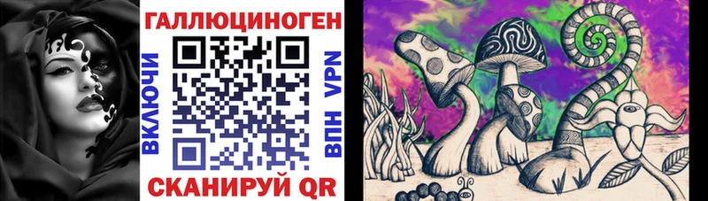 Псилоцибиновые грибы Psilocybe Нерюнгри